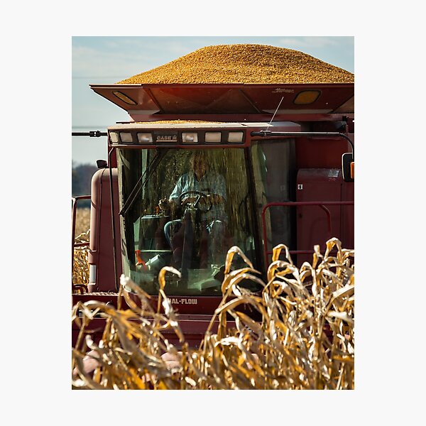 Farmer Working the Harvest Photographic Print