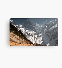 Little Metal Print
