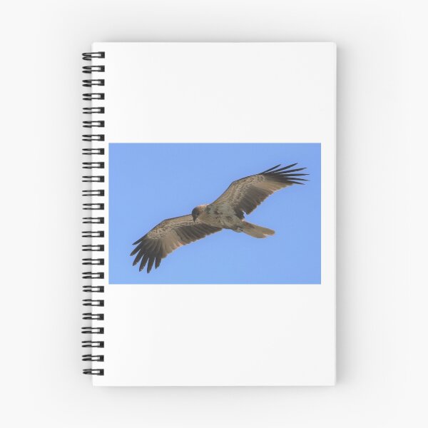 Item preview, Eastern Osprey designed and sold by JulietWhiskey.