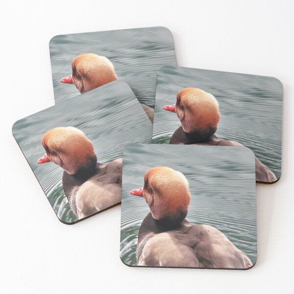 Item preview, Kolbenente (Netta rufina) - Red-crested Pochard designed and sold by holgermader.