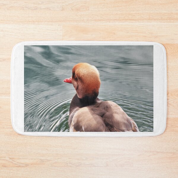 Item preview, Kolbenente (Netta rufina) - Red-crested Pochard designed and sold by holgermader.