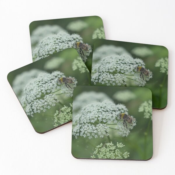 Item preview, Bumblebee On Queen Anne's Lace designed and sold by Zina Stromberg.