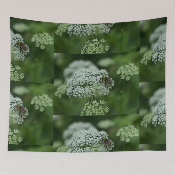 Item preview, Bumblebee On Queen Anne's Lace designed and sold by Zina Stromberg.