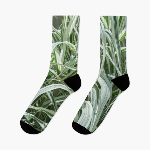 Item preview, Stripy Biophilic Elegance - Sophisticated Grass Ribbons in Mint Greens and Ivory Whites designed and sold by Georgia Mizuleva.