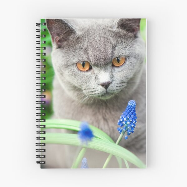 Item preview, Cat in summer designed and sold by ArtMarie.