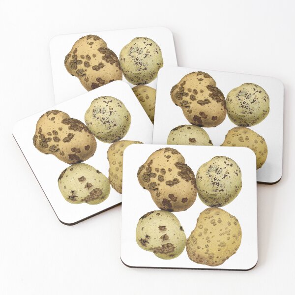 Item preview, Common Scab and Rhizoctonia Diseases of Potato - (cut-away) designed and sold by BiosecurityColl.