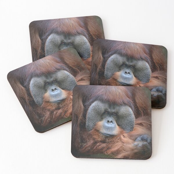 Item preview, Rudi designed and sold by Savannah Gibbs.