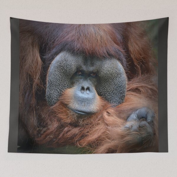 Item preview, Rudi designed and sold by Savannah Gibbs.