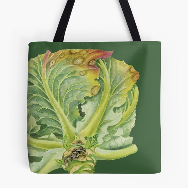 Item preview, Blackleg of Cabbage (cut away) designed and sold by BiosecurityColl.