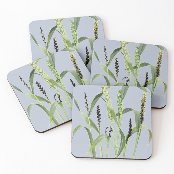 Item preview, Loose smut of wheat - cut away designed and sold by BiosecurityColl.