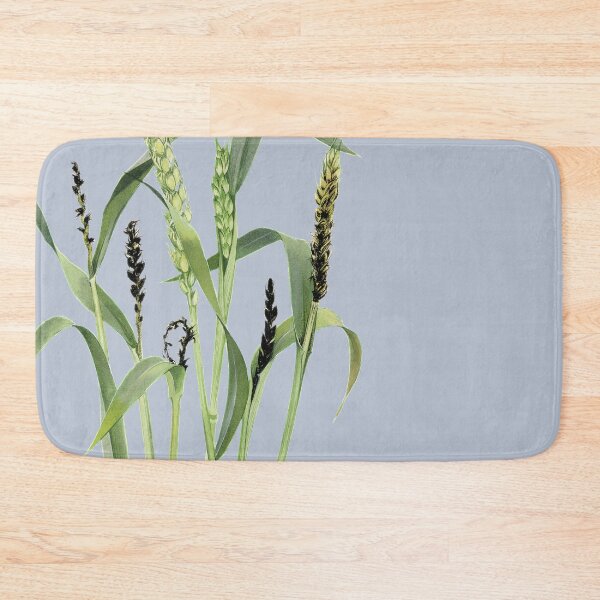 Item preview, Loose smut of wheat - cut away designed and sold by BiosecurityColl.