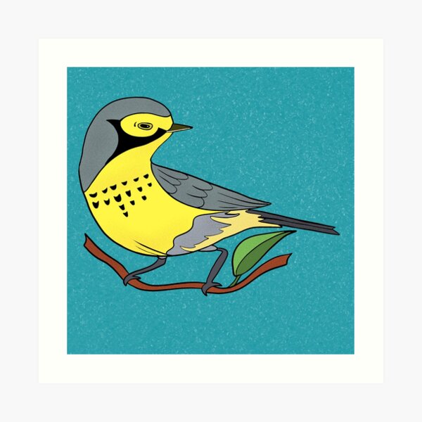 Yellow Bird Canadian Warbler Songbird 7 of 9 Art Print