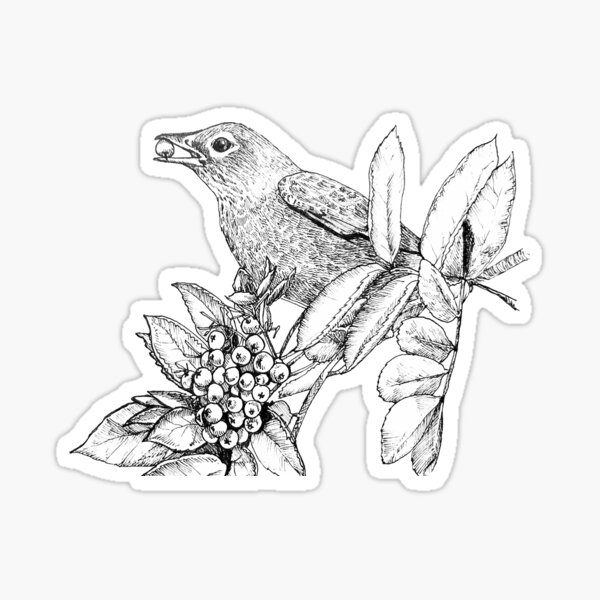 Ash Sticker