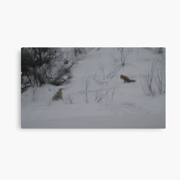 mother and child Canvas Print