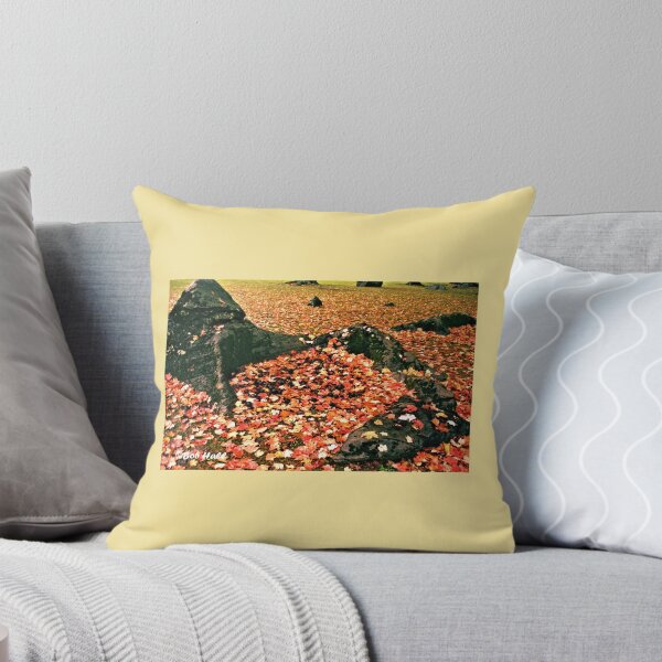 Item preview, "ROCK SCOOPING UP FALLING LEAVES AND WALNUTS," Photo, for prints and products designed and sold by Bob Hall©.