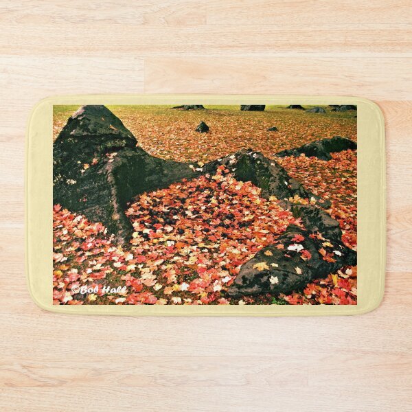Item preview, "ROCK SCOOPING UP FALLING LEAVES AND WALNUTS," Photo, for prints and products designed and sold by Bob Hall©.