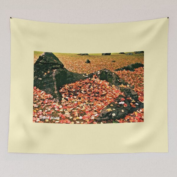 Item preview, "ROCK SCOOPING UP FALLING LEAVES AND WALNUTS," Photo, for prints and products designed and sold by Bob Hall©.