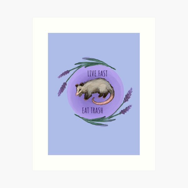 Item preview, Live Fast Eat Trash designed and sold by PhoebeSoleil.