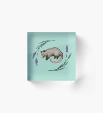 Lavender Opossum Acrylic Block