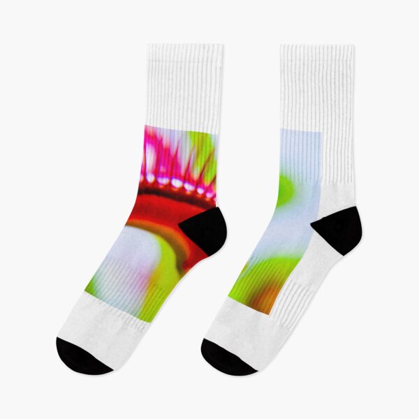 Item preview, Venus fly trap designed and sold by Asiantiger247.