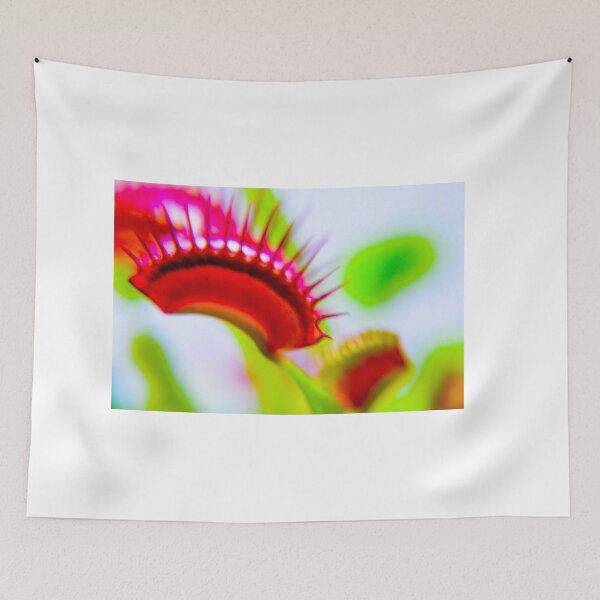 Item preview, Venus fly trap designed and sold by Asiantiger247.