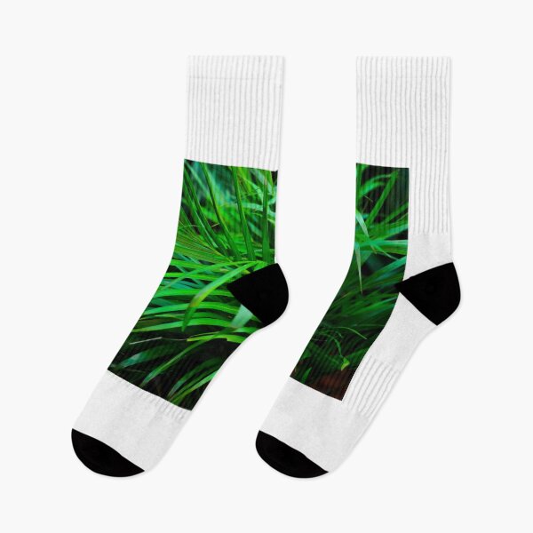 Item preview, Tropical Palm Leaves designed and sold by Asiantiger247.