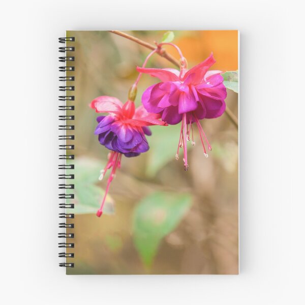 Artikelvorschau, Blumen entworfen und verkauft von Austscapes.