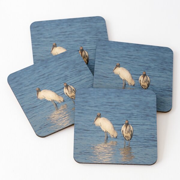 Item preview, Two Wood Storks designed and sold by Michiale.