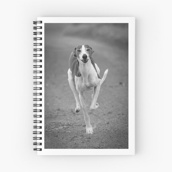 Item preview, Run Whippet Run designed and sold by Vicki Johnson.