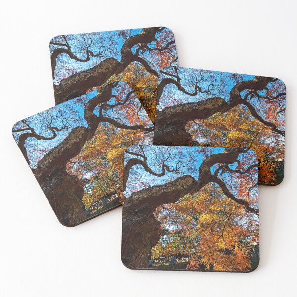 Item preview, Mount Auburn Cemetery Japanese Maple Tree Fall Foliage Cambridge MA designed and sold by WayneOxfordPh.