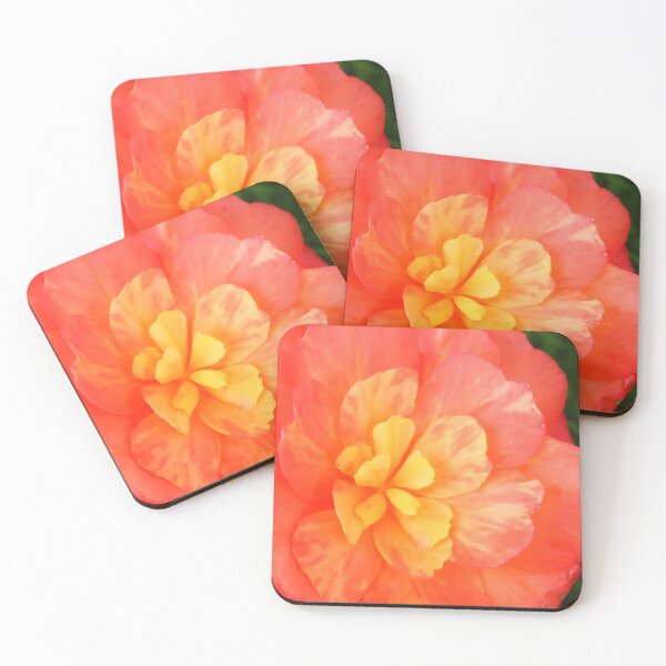 Item preview, Begonia designed and sold by Allen Penton.