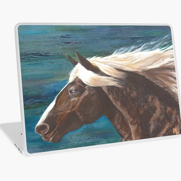 Wind Spirit Laptop Skin