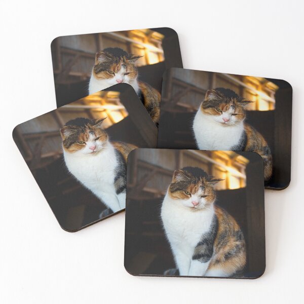 Item preview, Farm Cat designed and sold by Vicki Johnson.