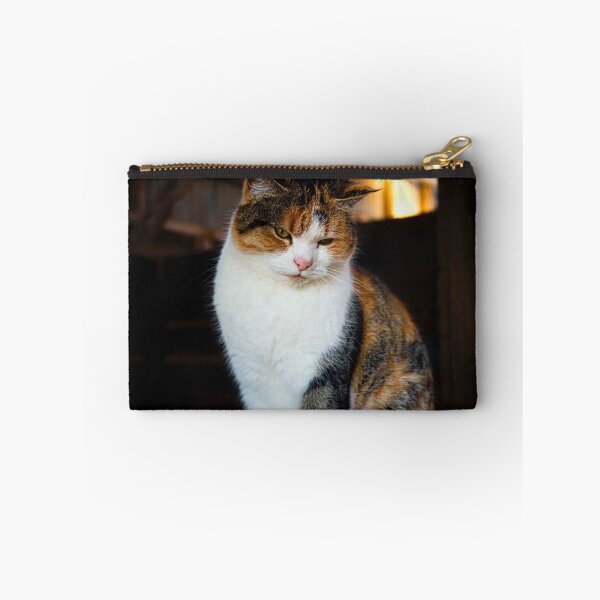 Item preview, Farm Cat designed and sold by Vicki Johnson.
