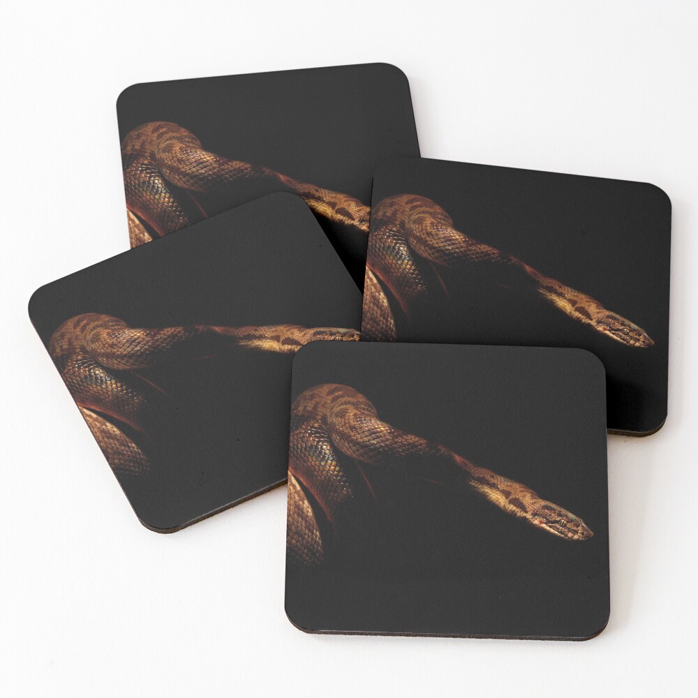 Item preview, Coasters (Set of 4) designed and sold by fenwickstud.
