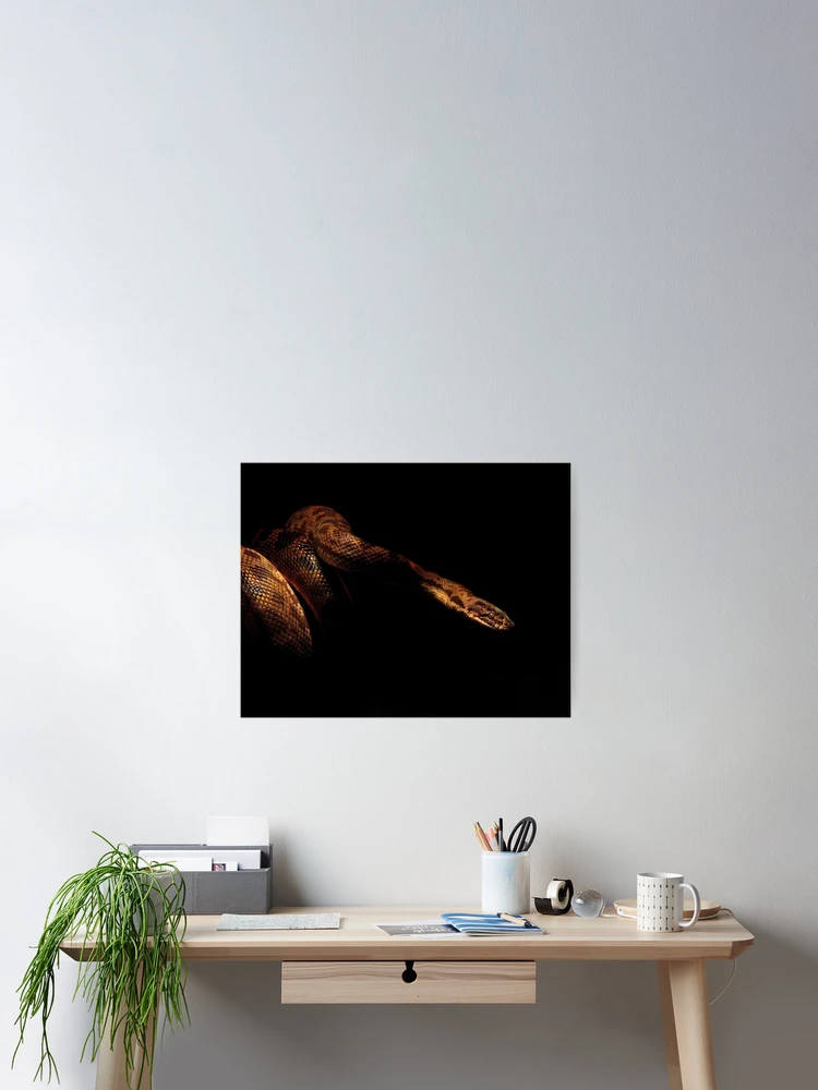 Thumbnail 2 von 3, Poster, Kinderpython designt und verkauft von Vicki Johnson.