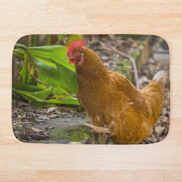 Item preview, Feather Friends Collection - Chicken Step designed and sold by Coastal West Creative.