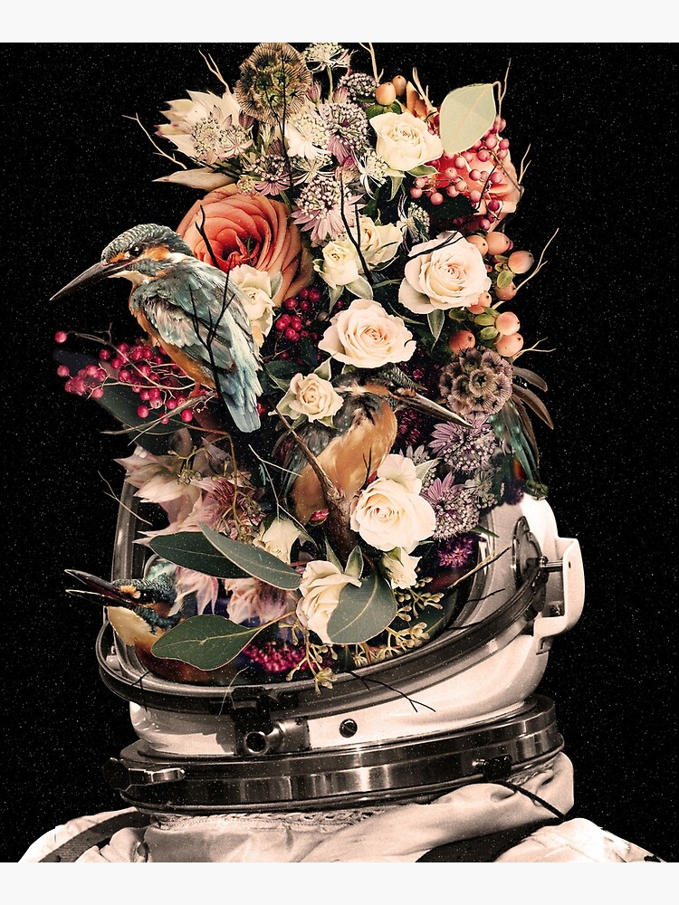 Bloom by nicebleed