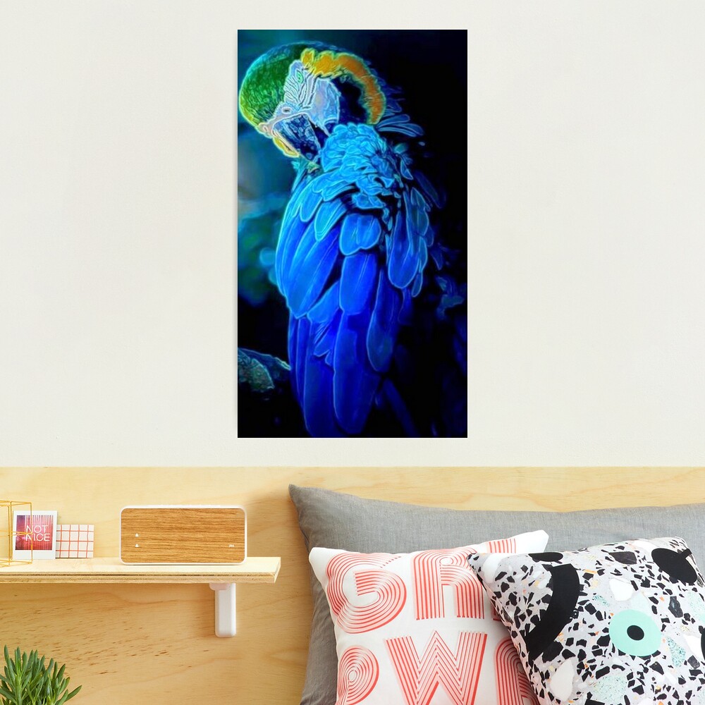 Blue Bird Photographic Print