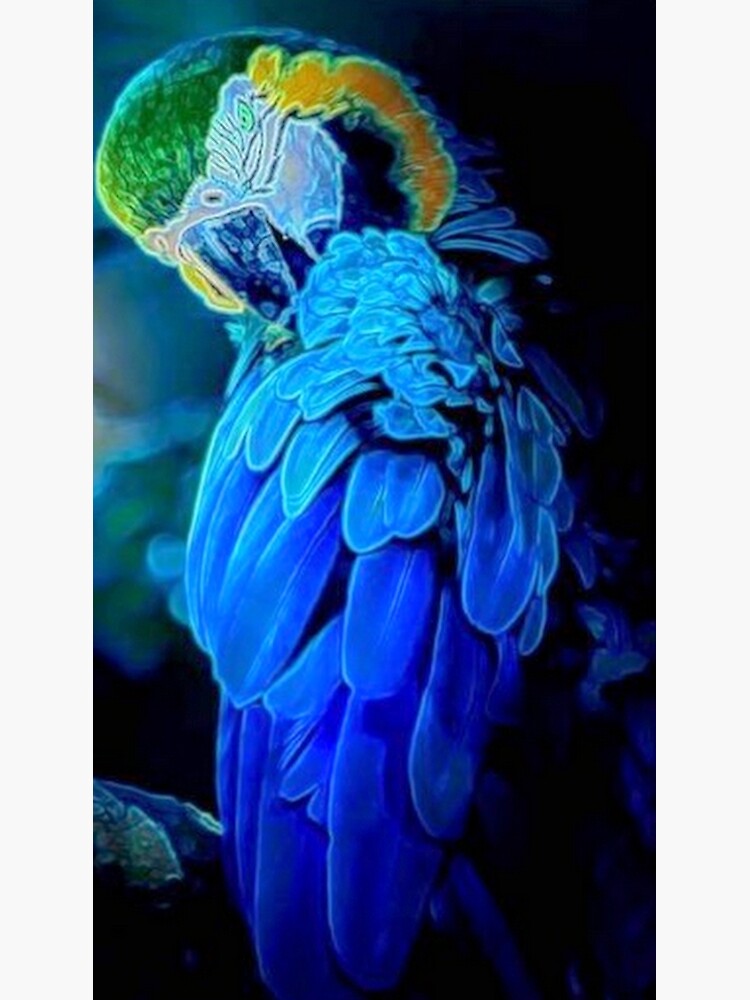 Blue Bird by michaeltodd
