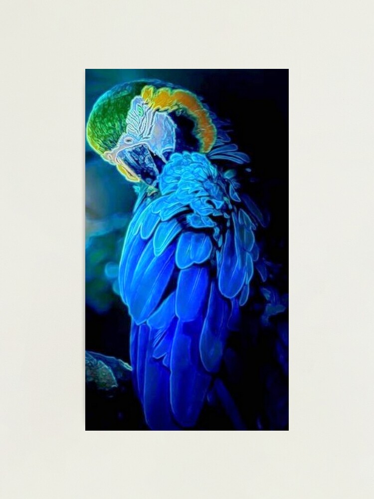 Alternate view of Blue Bird Photographic Print