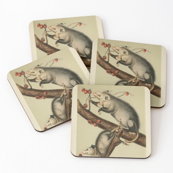 Item preview, Naturalist Opossum designed and sold by BlueSpecsStudio.