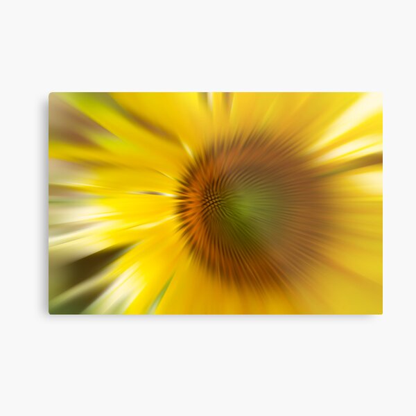 SUNFLOWER 01. Metal Print
