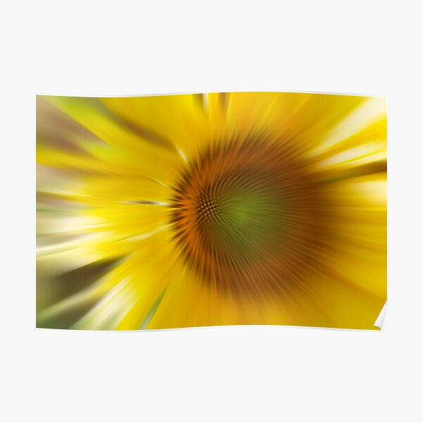 SUNFLOWER 01. Poster