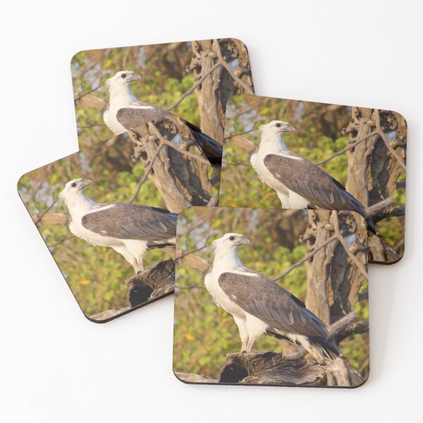 Item preview, NT ~ RAPTOR ~ White-bellied Sea Eagle M9VRBM3A4  by David Irwin 071119 designed and sold by tasmanianartist.