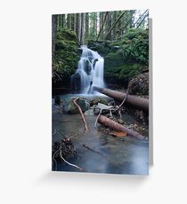 DSC-3220 Greeting Card