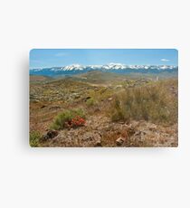 Sierras Metal Print