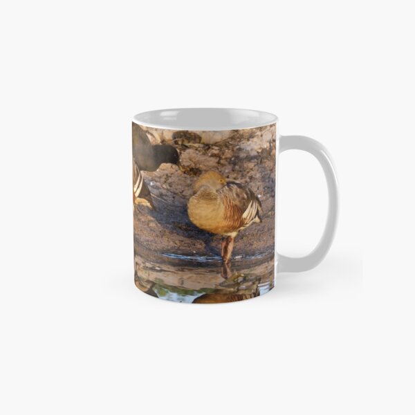 NT ~ WATERFOWL ~ Plumed Whistling Duck and Dusky Moorhen by David Irwin 071119 Classic Mug