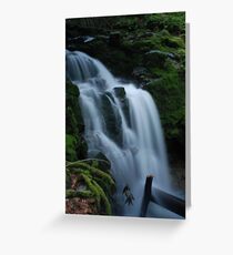 DSC-3209 Greeting Card