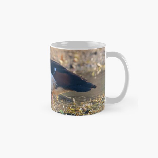 NT ~ WATERFOWL ~ Radjah Shelduck MQAMGVN4 by David Irwin 071119 Classic Mug